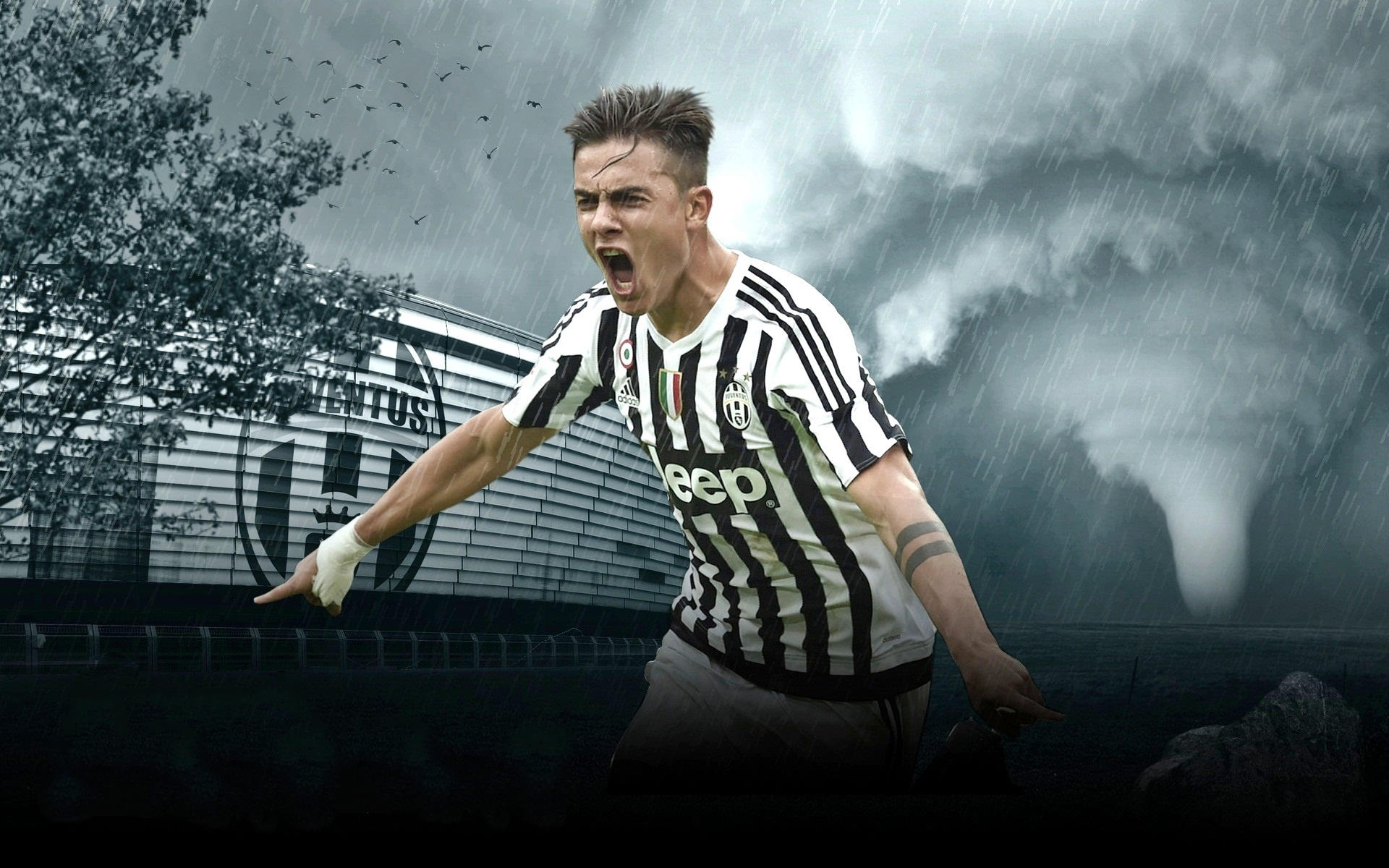 达维多维奇：离开沙特因为家人更重要；现在只想留在欧洲